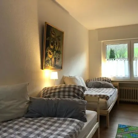 Paeusken Mit Rosengarten Im Hochsauerland