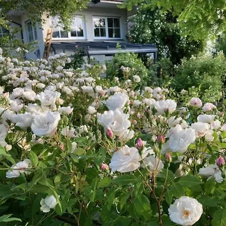 Paeusken Mit Rosengarten Im Hochsauerland Apartman *