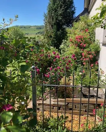 Paeusken Mit Rosengarten Im Hochsauerland *
