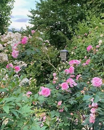 Apartman Paeusken Mit Rosengarten Im Hochsauerland