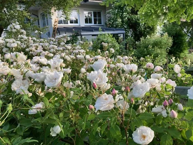 Paeusken Mit Rosengarten Im Hochsauerland Apartman *