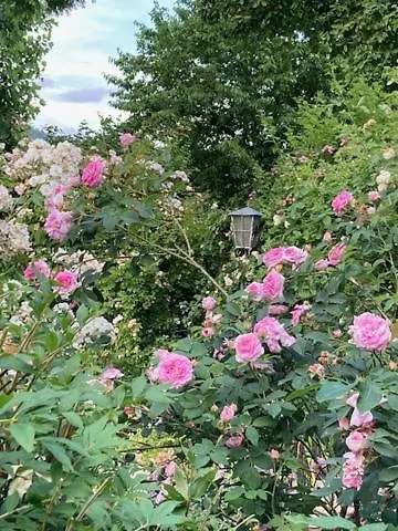 Appartement Paeusken Mit Rosengarten Im Hochsauerland